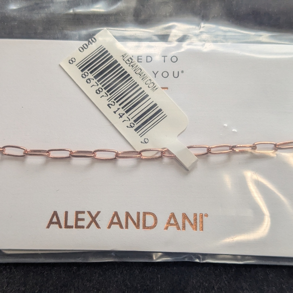 Alex and Ani Rose Gold Paperclip Chain Bracelet